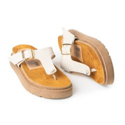 Price Shoes Sandalias Moda Mujeres 462JC002CHAMPANA